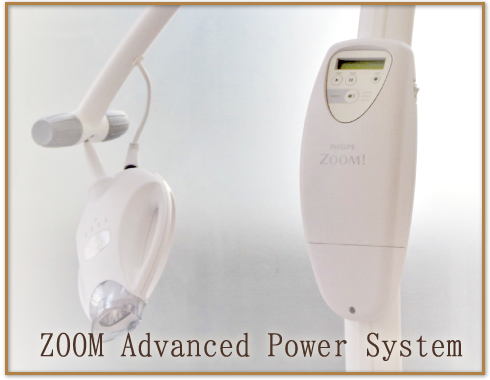 ZOOM Advanced Power System