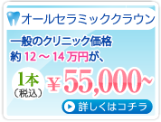 オールセラミッククラウン 1本55,000円～