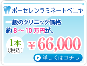 ポーセレンラミネートベニヤ 1本66,000円