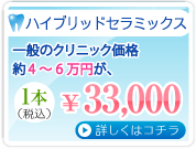 ハイブリッドセラミックス 1本33,000円