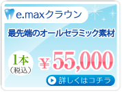 e.maxクラウン 1本55,000円