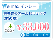 e.maxインレー 1本33,000円